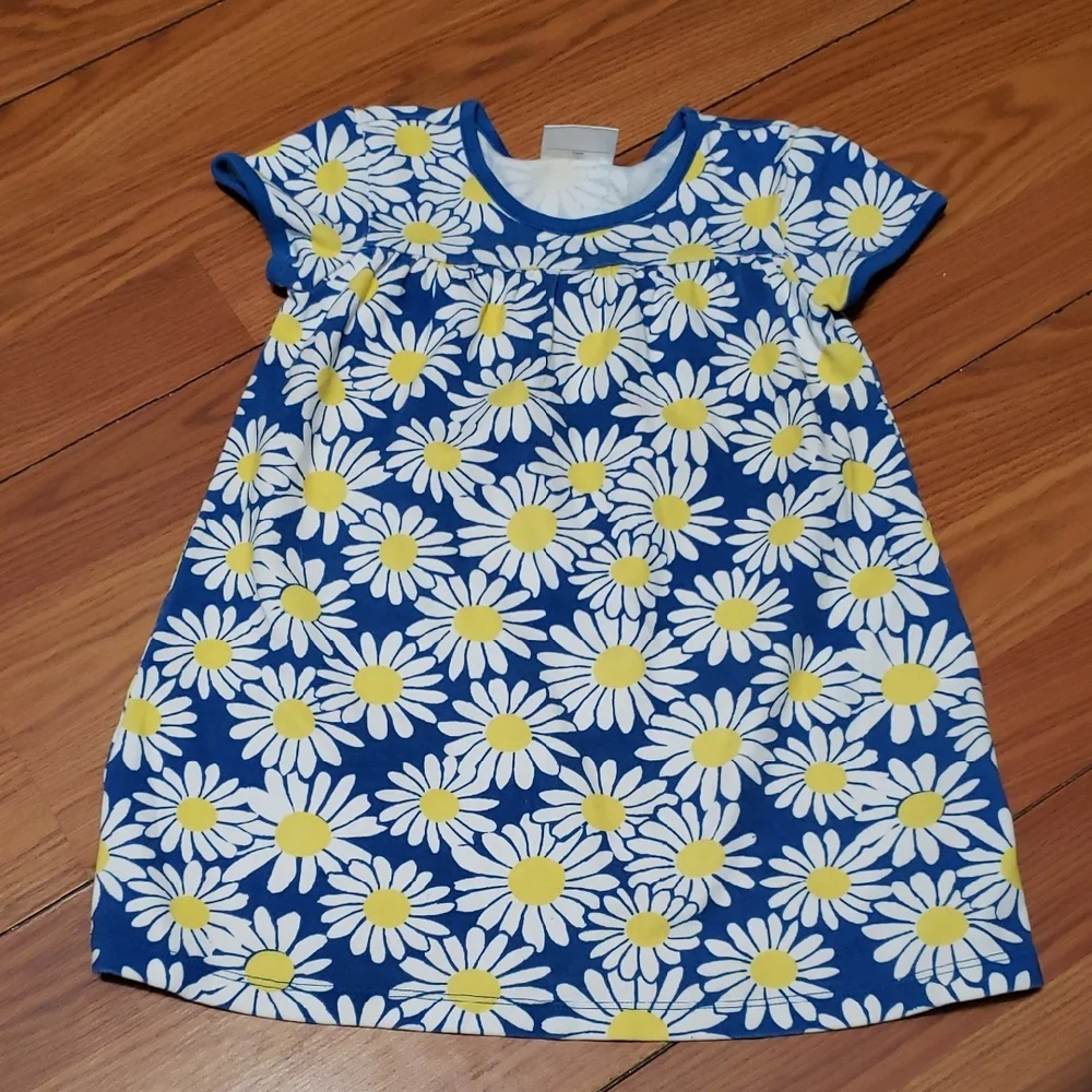 Hanna Andersson Blue and White Floral Kids Dress‎